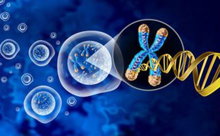 genomics